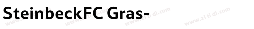 SteinbeckFC Gras字体转换